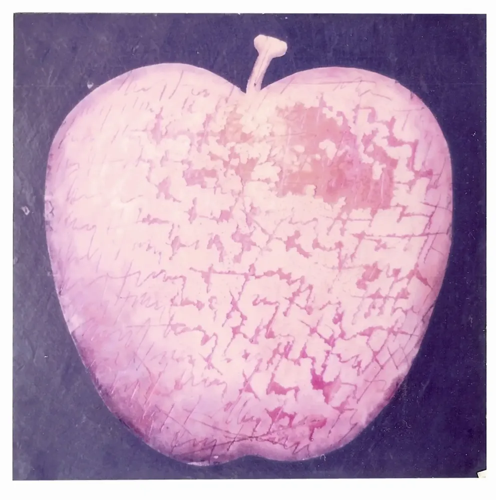 Artwork titled "ST" made with oil painting, slate stone in the year 1985 by Juan Diego Miguel