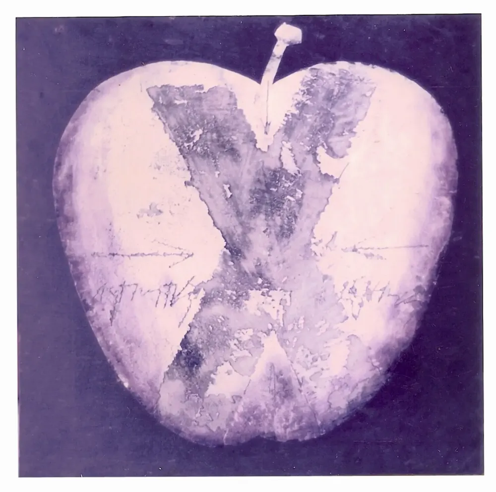 Artwork titled "ST" made with oil painting, slate stone in the year 1985 by Juan Diego Miguel