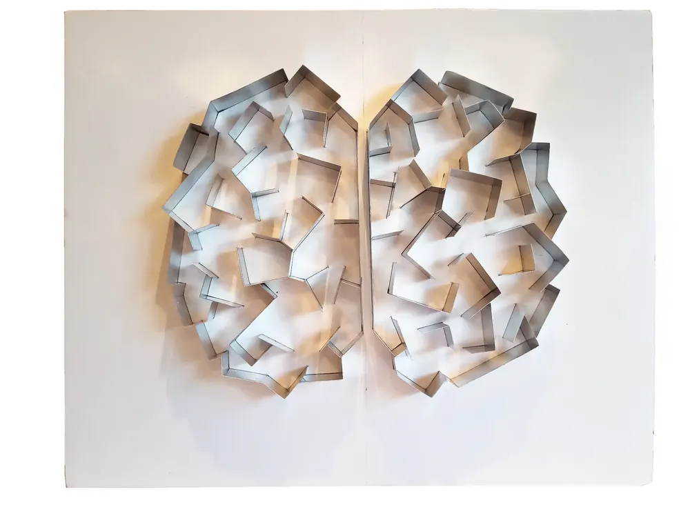 Artwork titled "Maqueta-cerebro" made with aluminum, cardboard pen in the year 2021 by Juan Diego Miguel