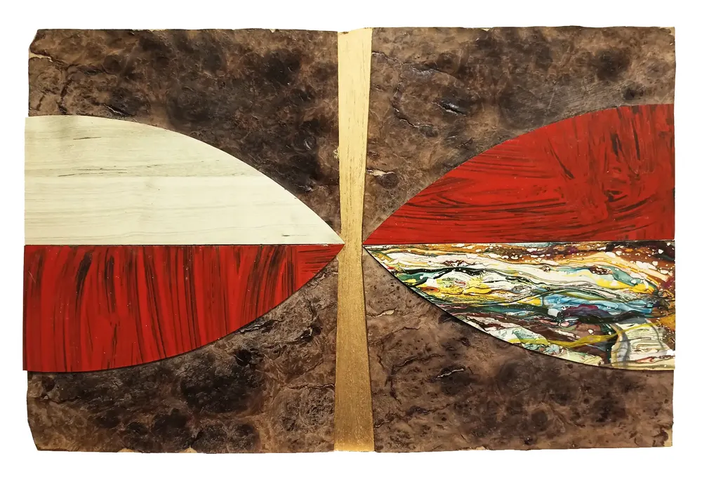 Artwork titled "Insecto" made with synthetic enamelled paint, laminate, mdf, wood in the year 2022 by Juan Diego Miguel