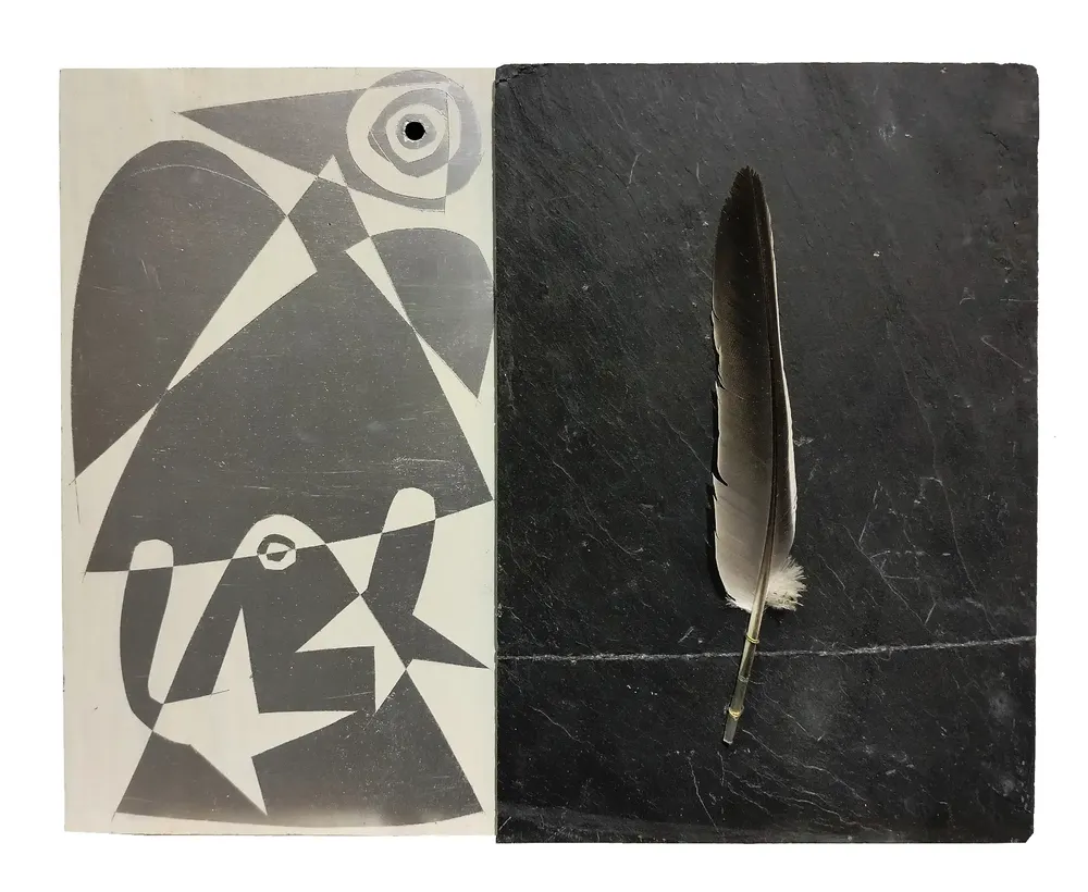 Artwork titled "Pluma-I" made with feathers, slate stone, synthetic enamelled paint, laminate in the year 2023 by Juan Diego Miguel