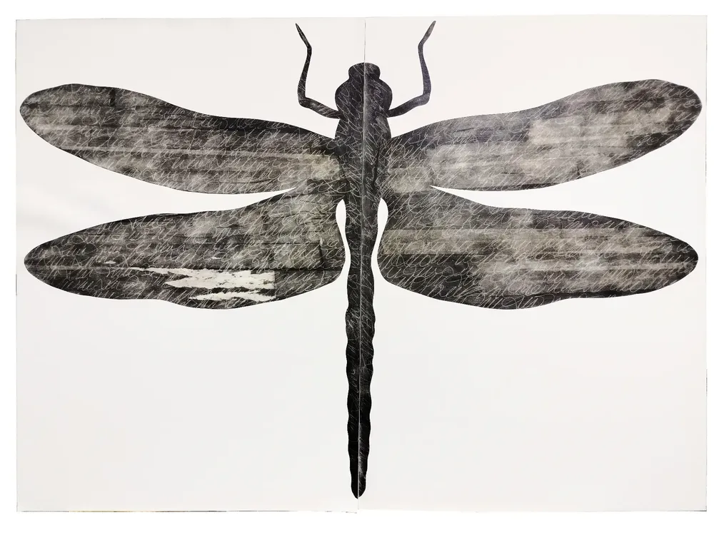 Artwork titled "Libelula" made with graphite, paper in the year 2023 by Juan Diego Miguel
