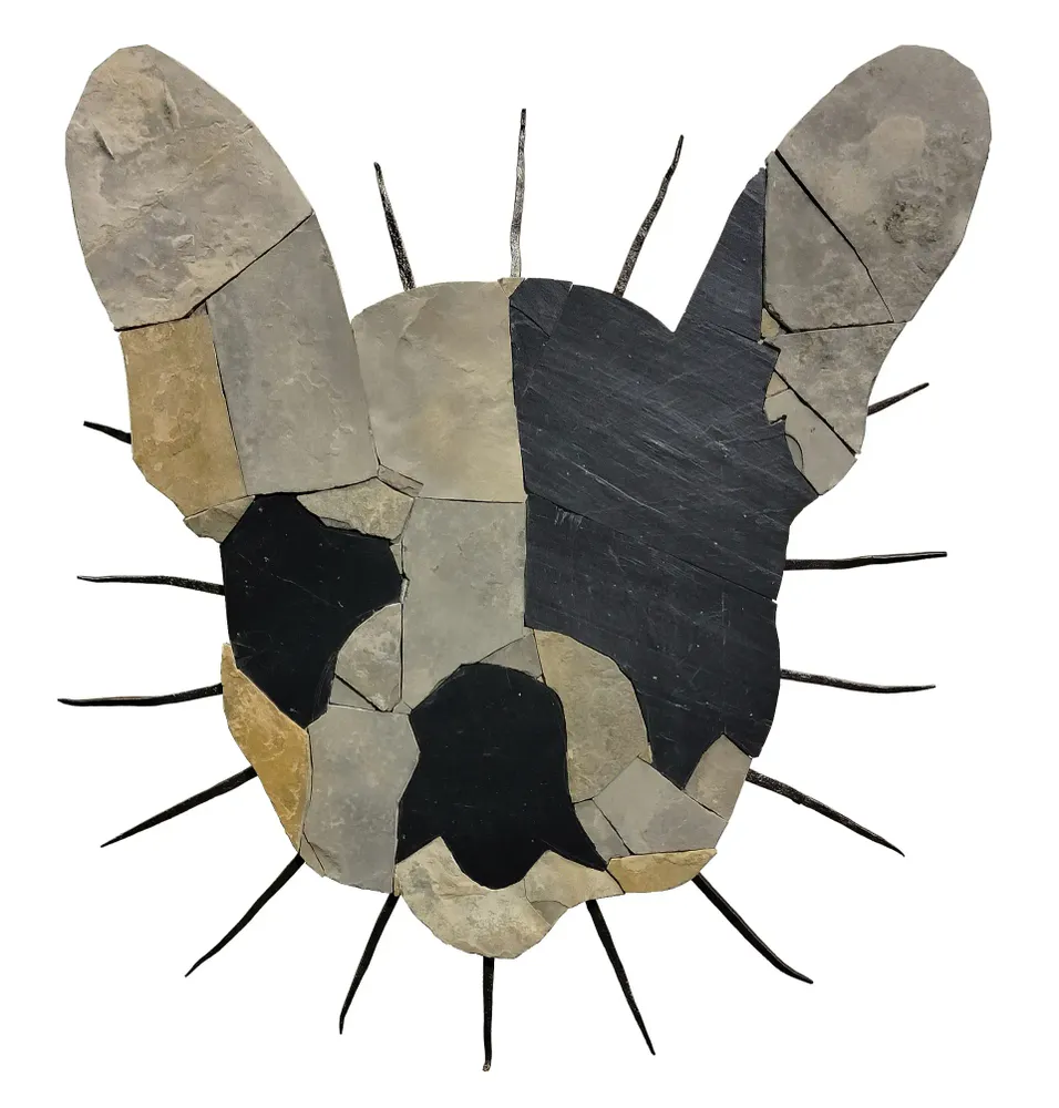 Artwork titled "Can con collar" made with limestone, slate stone, iron in the year 2023 by Juan Diego Miguel