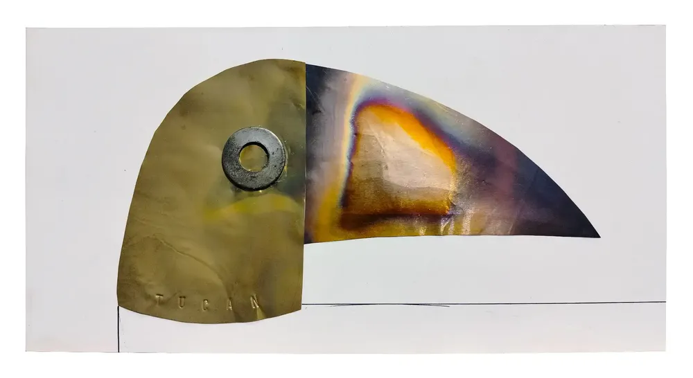Artwork titled "Tucan" made with brass, copper, iron, pen, paper in the year 2024 by Juan Diego Miguel
