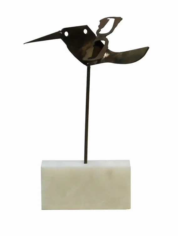 Artwork titled "Colibri" made with undefined in the year 2007 by Juan Diego Miguel